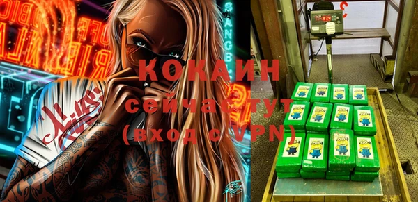 прущие грибы Нея