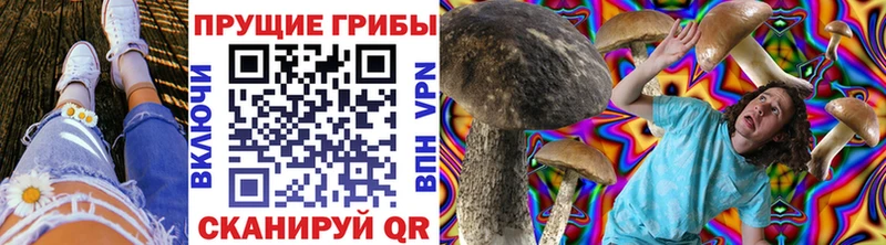кракен сайт Новое Девяткино Псилоцибиновые грибы Psilocybine cubensis